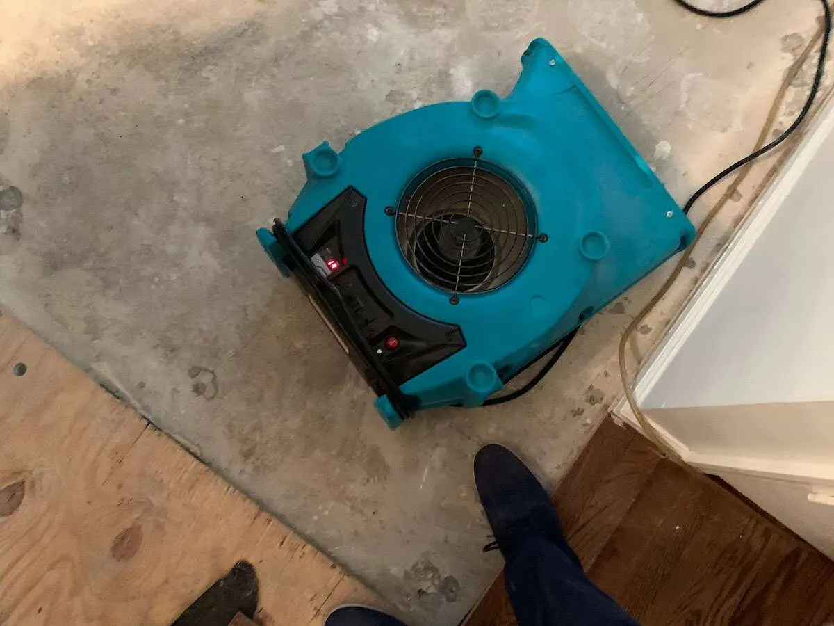 Air mover drying subfloor during Commercial Water Damage Restoration in Northgate